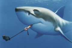 satirical-illustrations-gerhard-haderer-14-5ab38907bb804__700