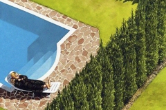 satirical-illustrations-gerhard-haderer-41-5ab38955025f5__700